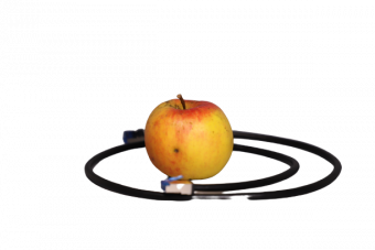 Apfel