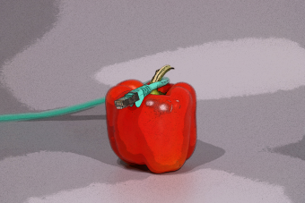 Paprika