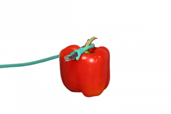 Paprika